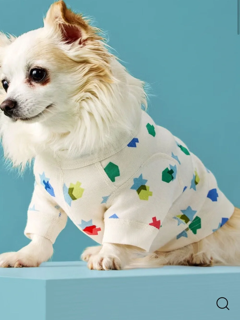 Hanna Andersson Red & White Stripe Dog Pajamas
